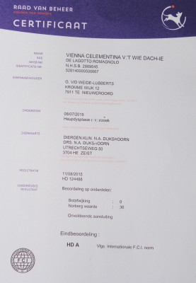 HD uitslag Vienna Clementina