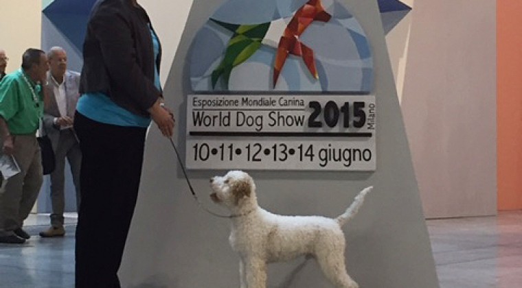 World Dogshow Milaan