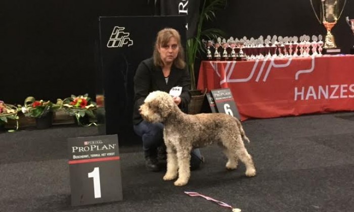 Vienna Clementina vt Wie Dach-ie Nederlands Kampioen